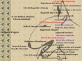 /album/collages-y-pedigrees/pedigree-romredsan-jpg/